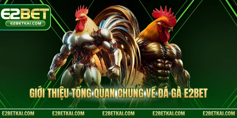 Giới thiệu tổng quan chung về đá gà E2BET